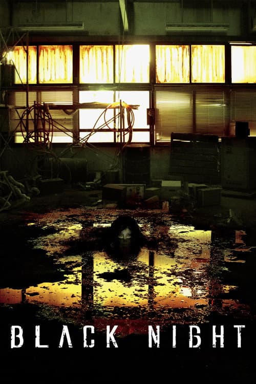 Black Night poster