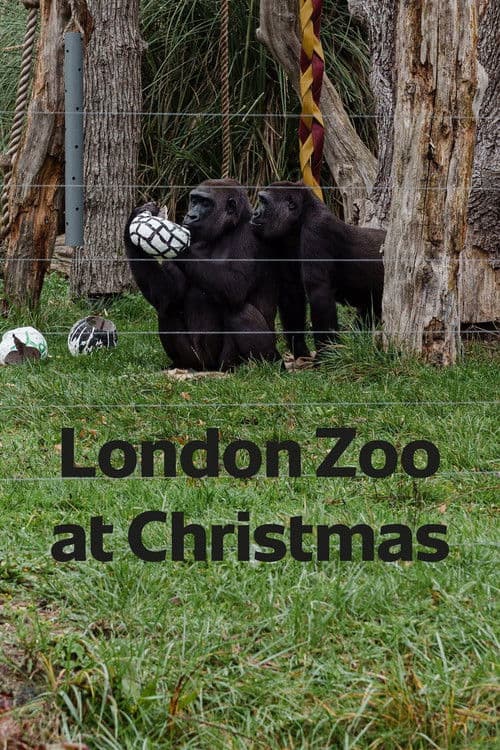 London Zoo at Christmas poster