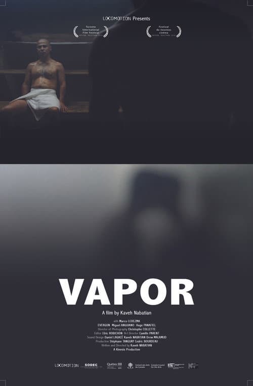 Steam poster