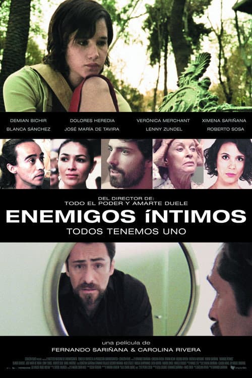 Enemigos íntimos poster