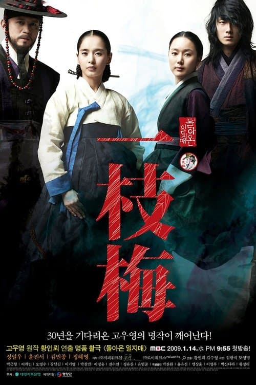 The Return of Iljimae poster