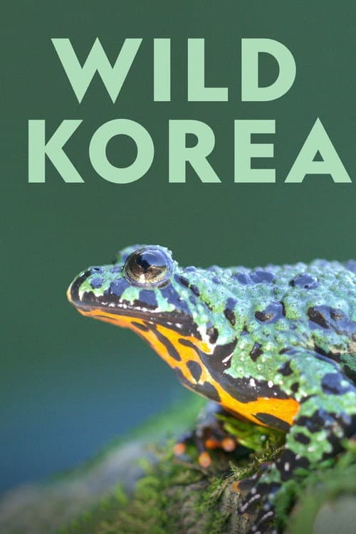Wild Korea poster