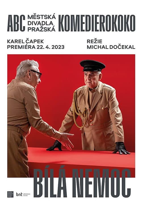 Bílá nemoc poster