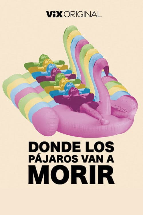 Donde los pájaros van a morir poster