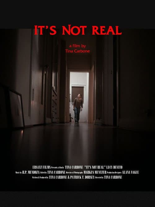 It's Not Real poster