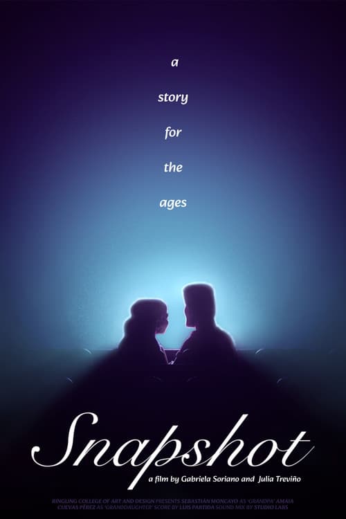 Snapshot poster