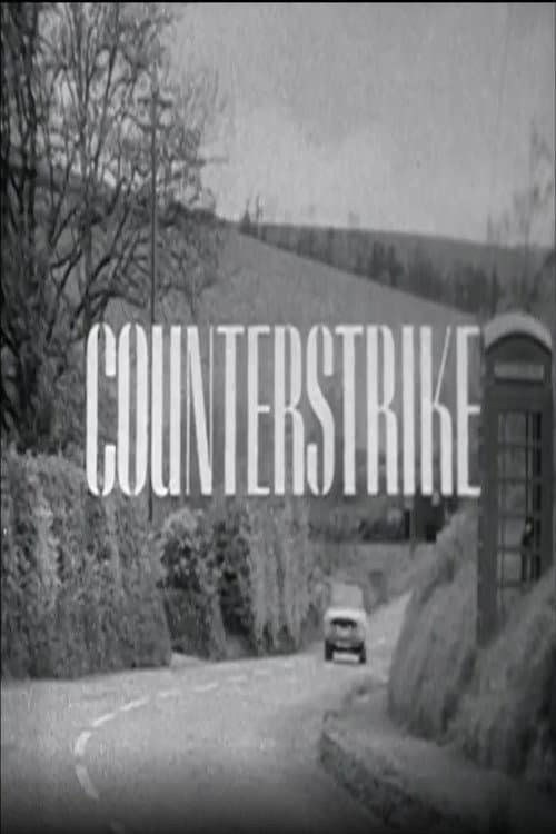 Counterstrike poster