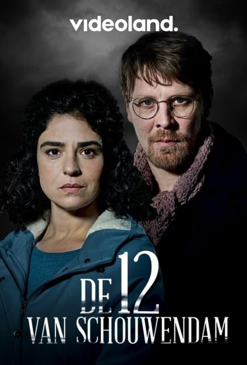 De 12 Van Schouwendam poster