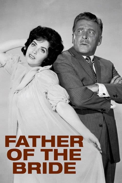Father of the Bride poster