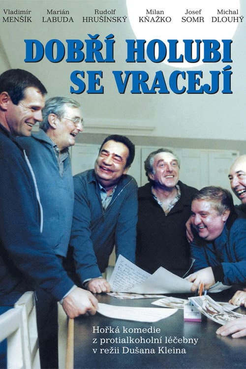 Dobří holubi se vracejí poster