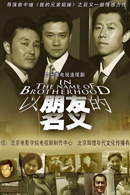 以朋友的名义 poster