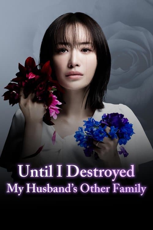 Until I Destroyed My Husband's Other Family poster