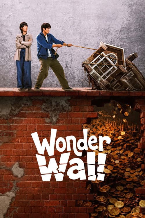 Wonder Wall poster