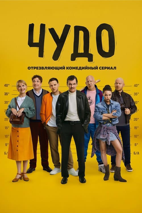 Miracle poster