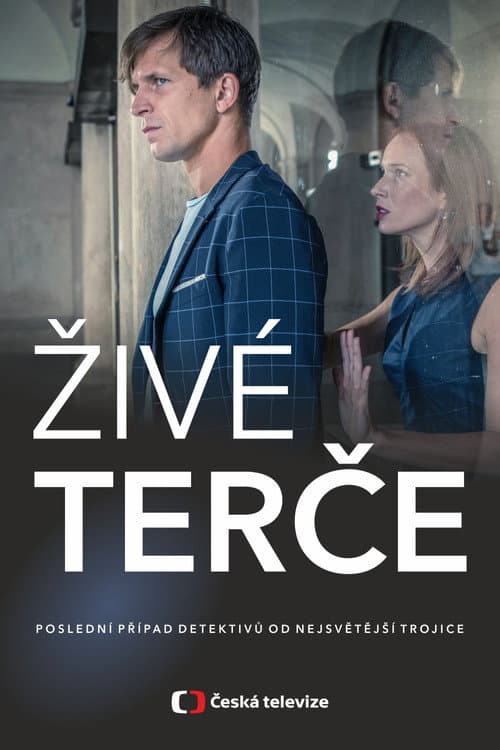 Živé terče poster