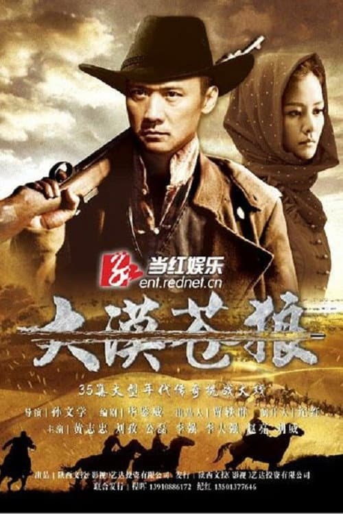 大漠苍狼 poster