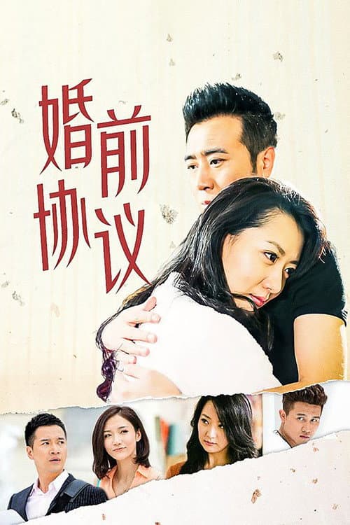 婚前协议 poster