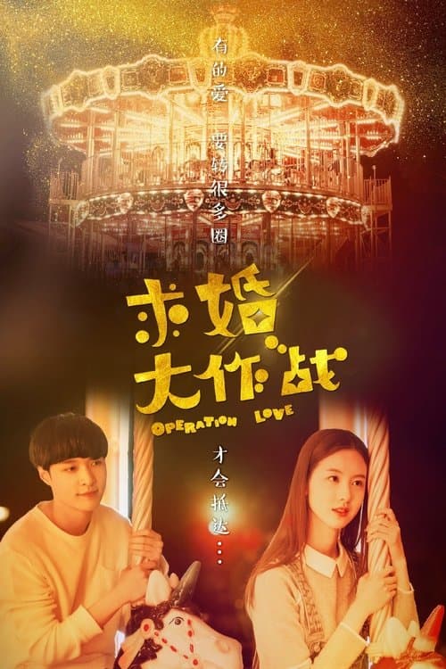 Operation Love poster