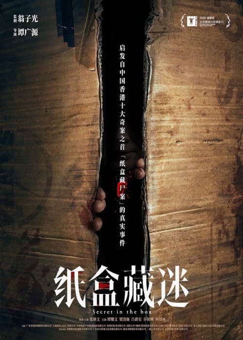 Secret in the Box poster