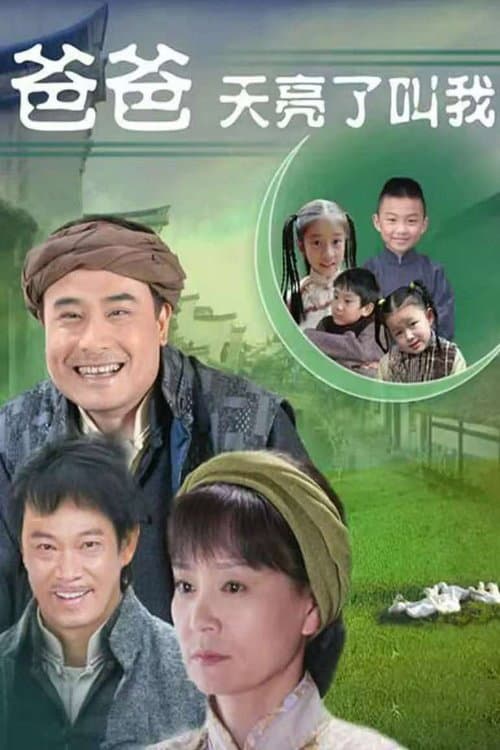 爸爸天亮叫我 poster