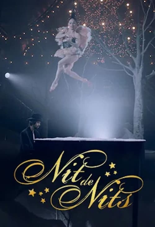 Nit de nits poster