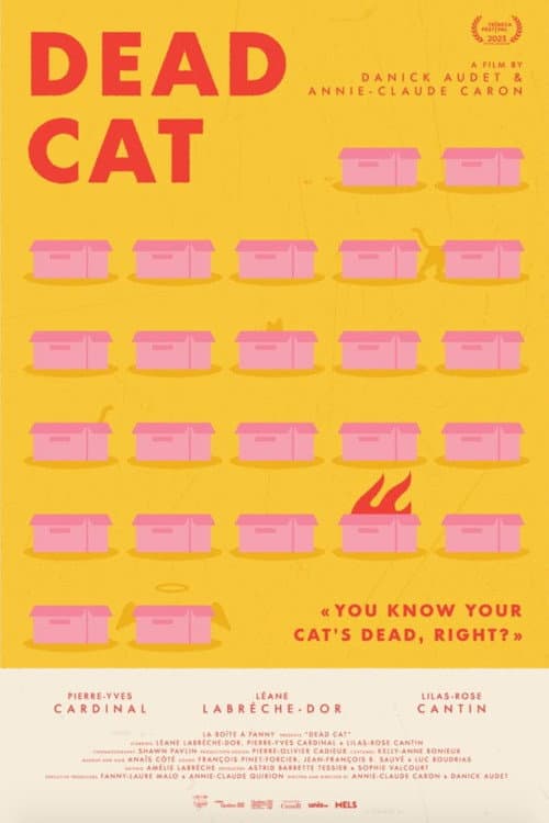 Dead Cat poster