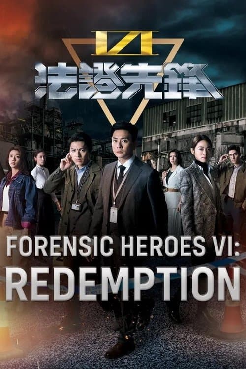 Forensic Heroes VI poster