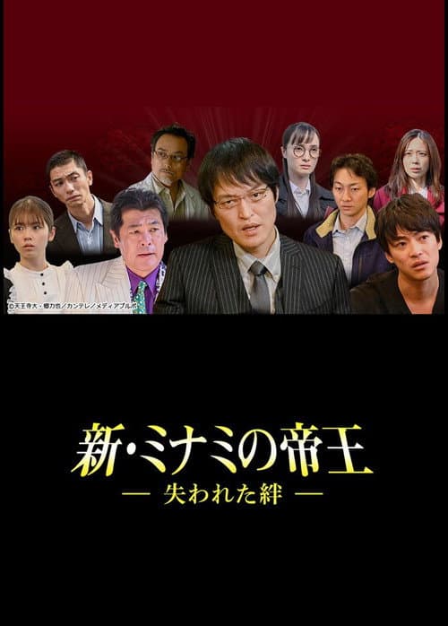 新・ミナミの帝王～失われた絆～ poster