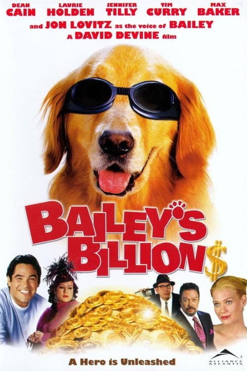 Bailey's Billion$ poster