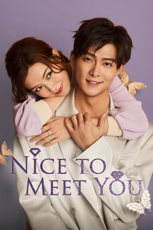 Nice To Meet You poster