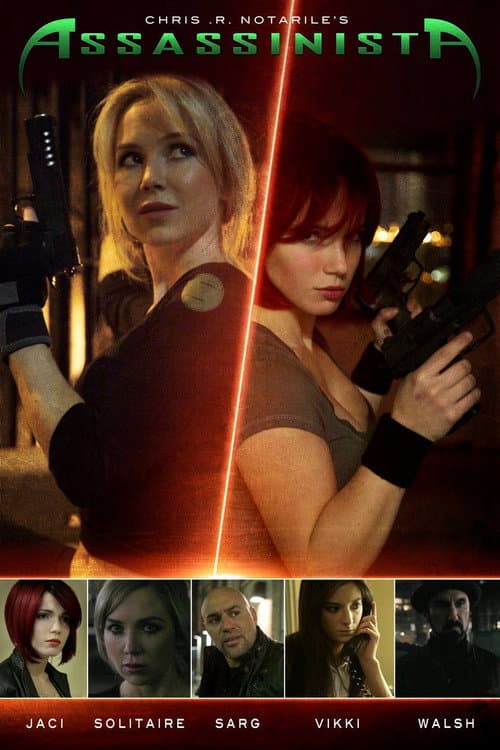 Assassinista poster