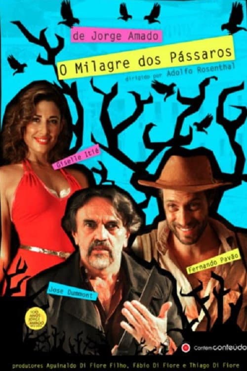 The Miracle of the Birds poster