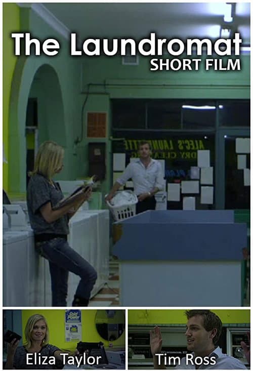 The Laundromat poster