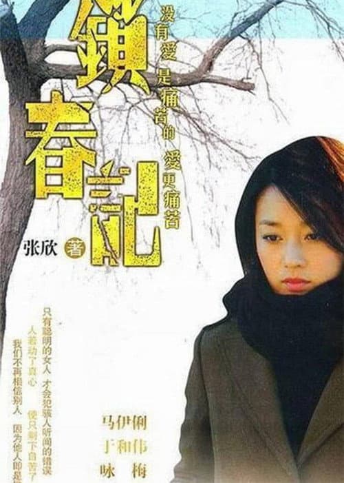 锁春记 poster