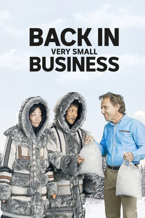 Back in Very Small Business poster