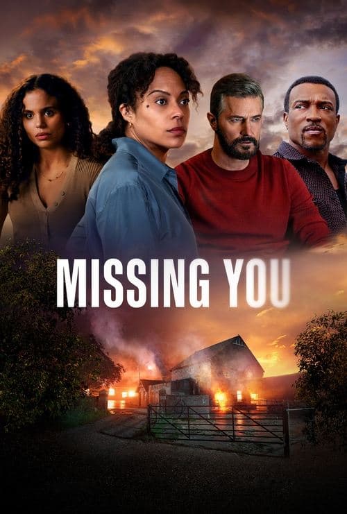 Missing You poster