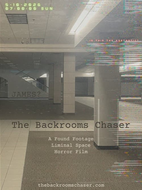 The Backrooms Chaser poster