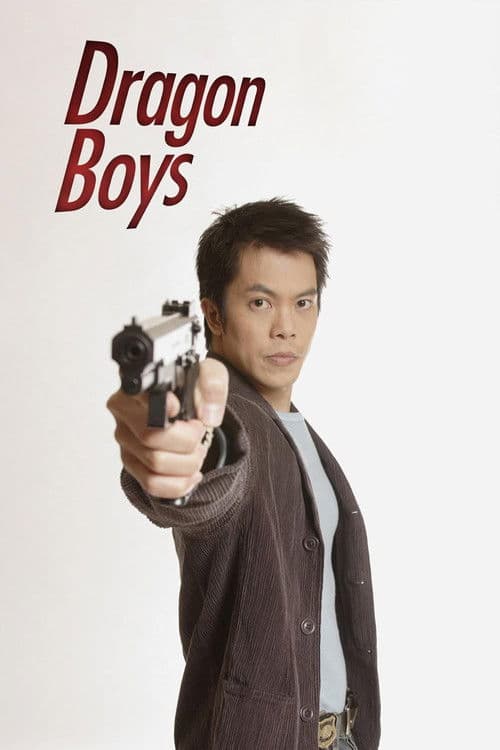 Dragon Boys poster