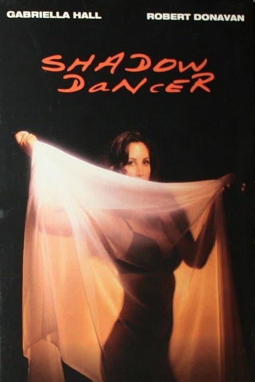 Shadow Dancer poster