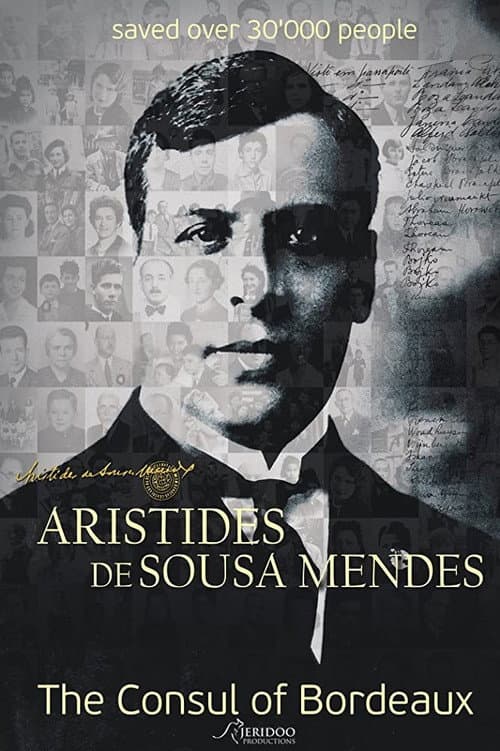 The Consul Of Bordeaux poster