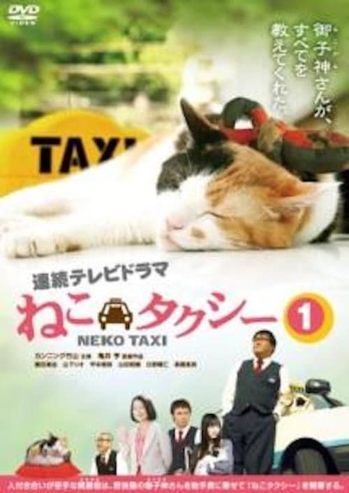 Cat Taxi poster
