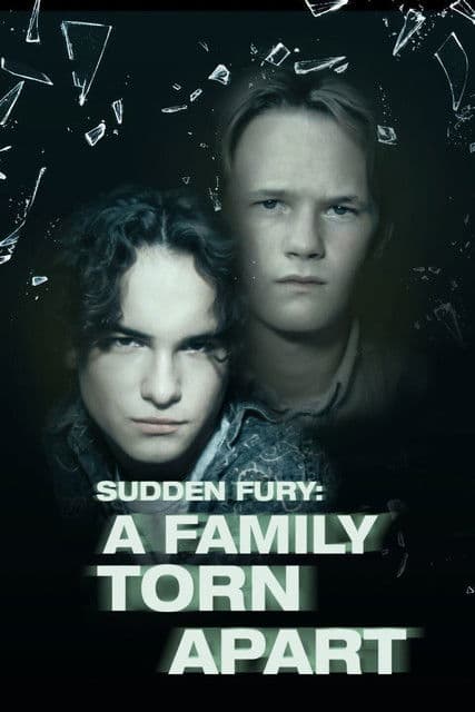 Sudden Fury poster