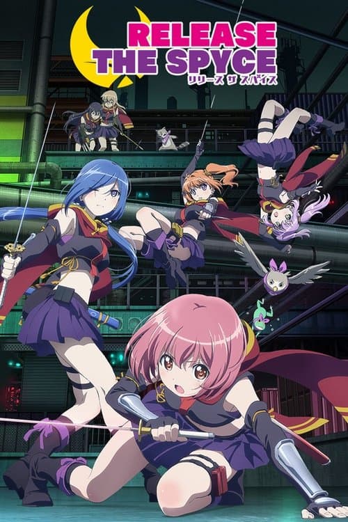 Release the Spyce poster
