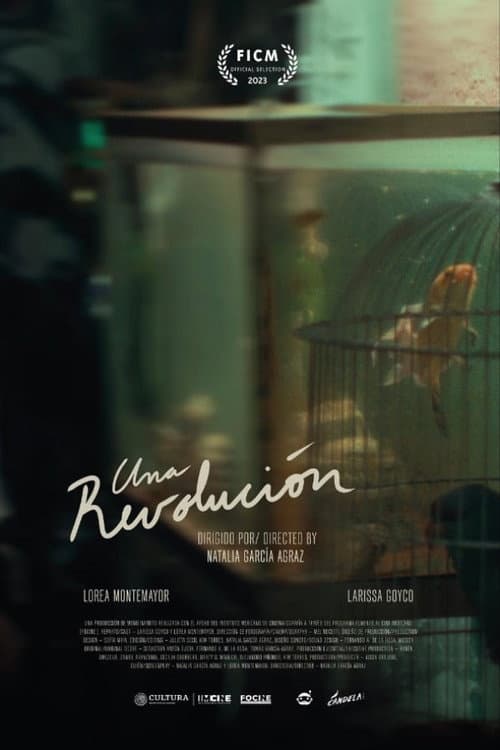 A Revolution poster