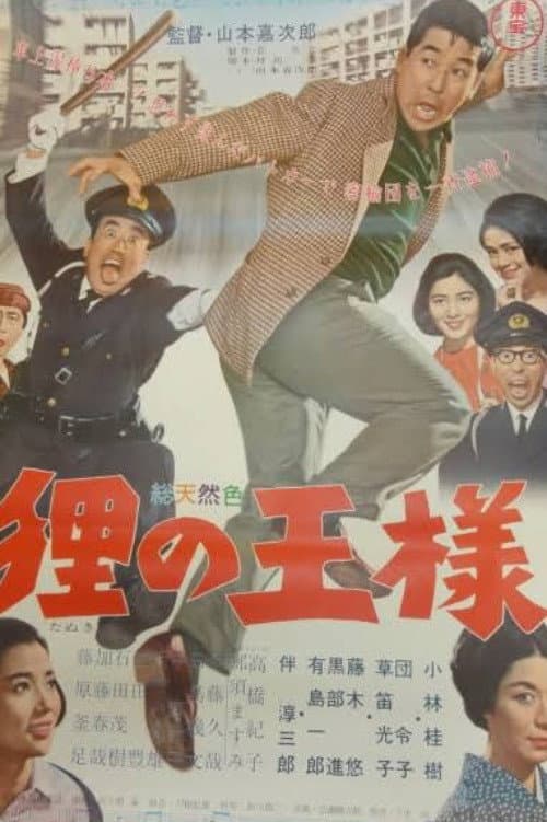 King of the Raccoon Dogs poster
