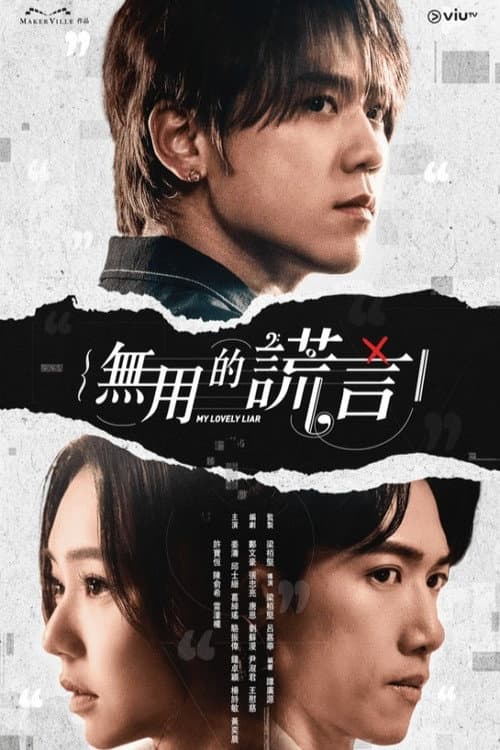 My Lovely Liar poster