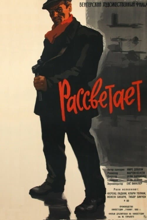 Virrad poster