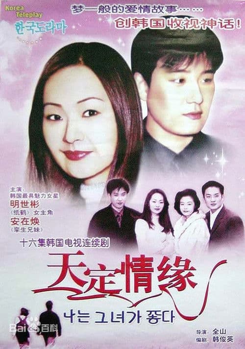 She's the One poster