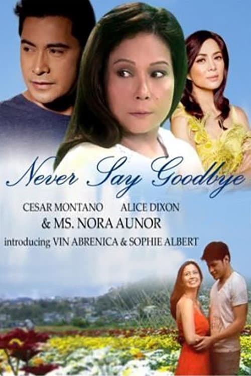 Never Say Goodbye poster