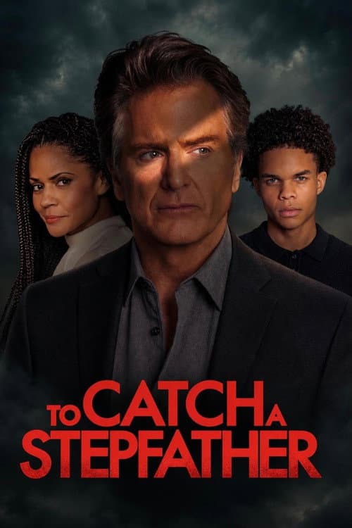 To Catch a Stepfather poster